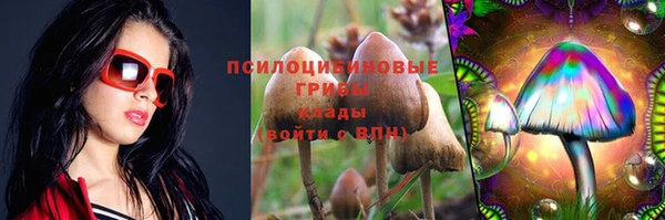 стаф Балахна