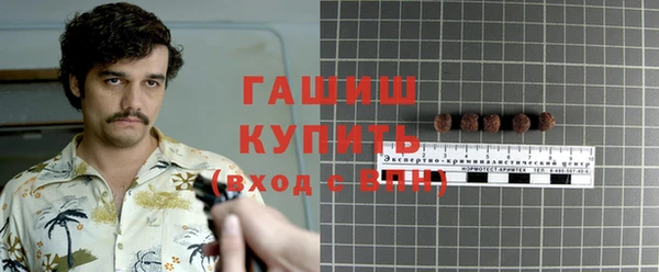 стаф Балахна