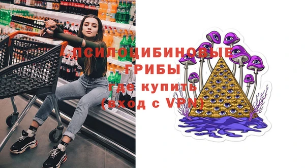 стаф Балахна